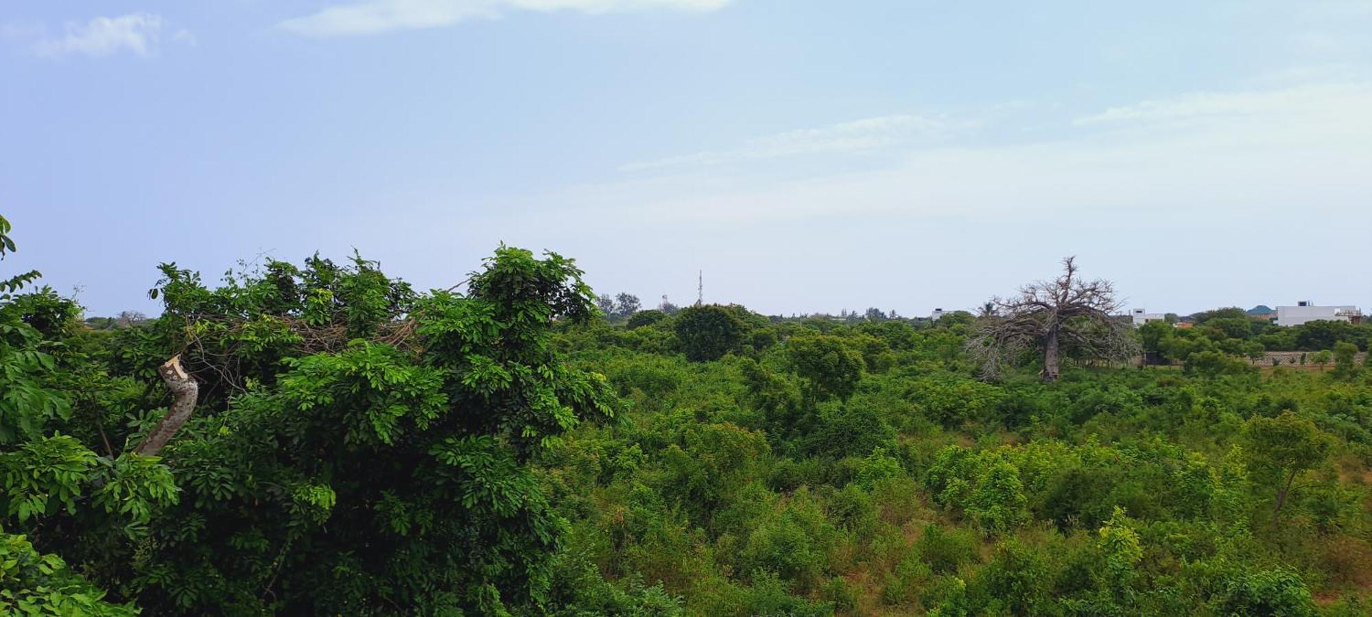 Cave Diani Holiday Apartments 迪亚尼海滩 外观 照片