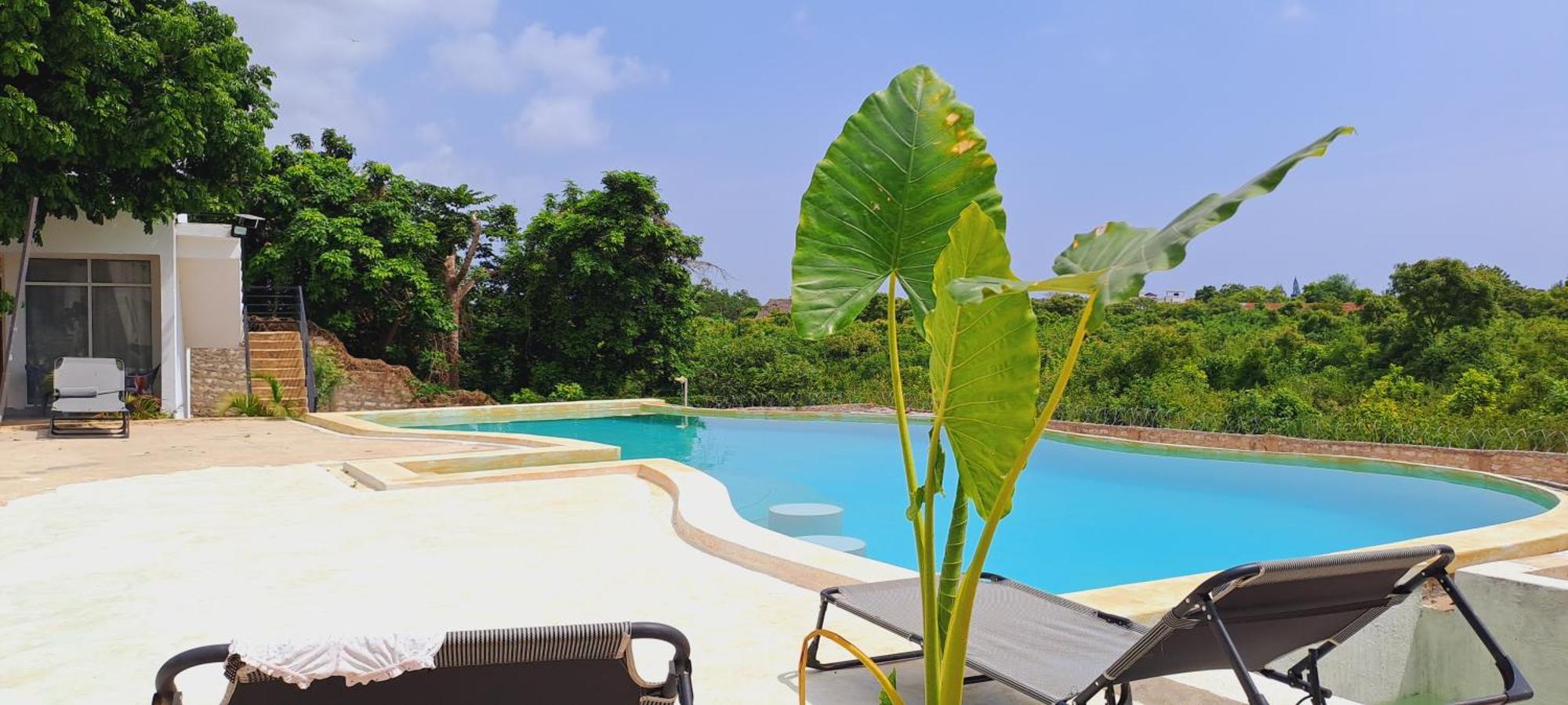 Cave Diani Holiday Apartments 迪亚尼海滩 外观 照片